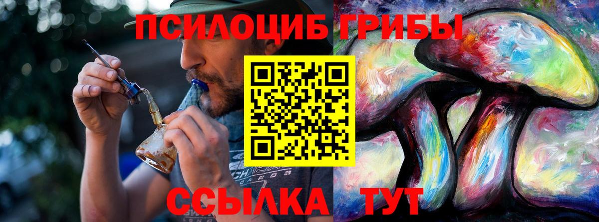 Псилоцибиновые грибы Psilocybine cubensis Курчалой