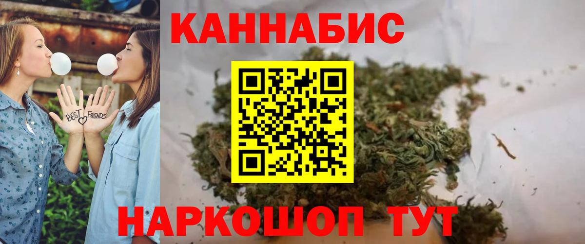 Марихуана сатива Курчалой